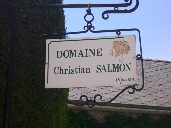 Christian Salmon
